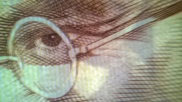 Macro photograph of Mahatma Gandhi ji's eye from an Indian currency note, captured in extreme detail to reveal fine textures and engravings.