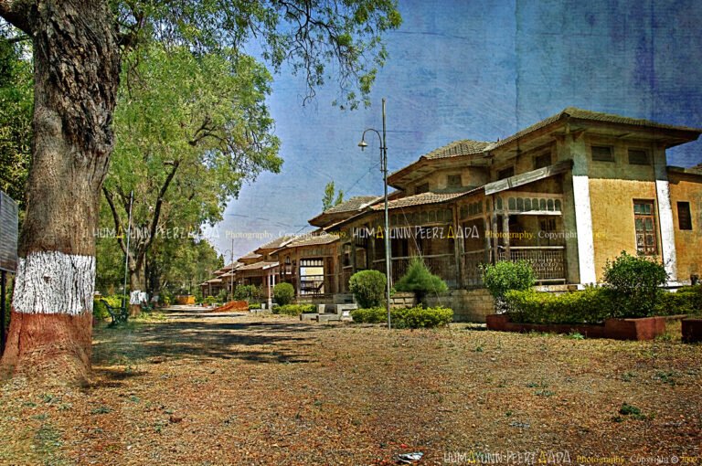 Fatmabai Sanatorium heritage building with a tree-lined entrance in Devlali, Maharashtra — captured by Humayunn Peerzaada.