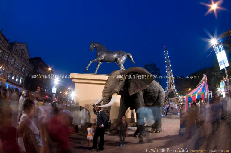 Night view of Kala Ghoda Arts Festival in Mumbai, featuring vibrant lights, an elephant installation, and the iconic horse statue.