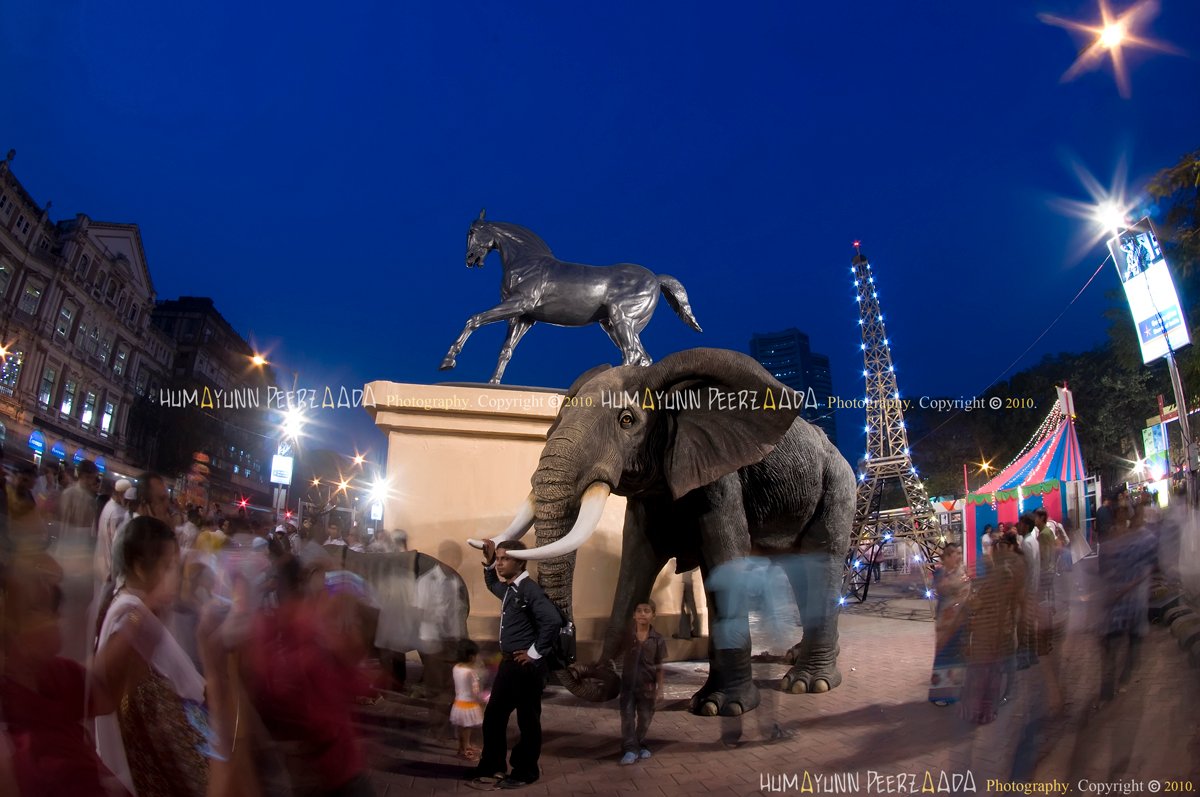 Night view of Kala Ghoda Arts Festival in Mumbai, featuring vibrant lights, an elephant installation, and the iconic horse statue.