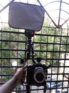 the front  the front