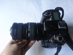 28mm @ Reverse ring @ extension tubes attached with Nikon D90 28mm @ Reverse ring @ extension tubes attached with Nikon D90