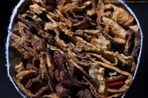 Shot with Nikon D90 @ 28mm @ reverse ring @ extension tube of 20mm attached to it @ SB 900 @ TTL cord @ hitting the cig straight Shot with Nikon D90 @ 28mm @ reverse ring @ extension tube of 20mm attached to it @ SB 900 @ TTL cord @ hitting the cig straight